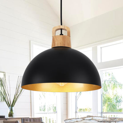 1-Light Modern Pendant Light Fixture with Plug-in Switch for Kitchen Island