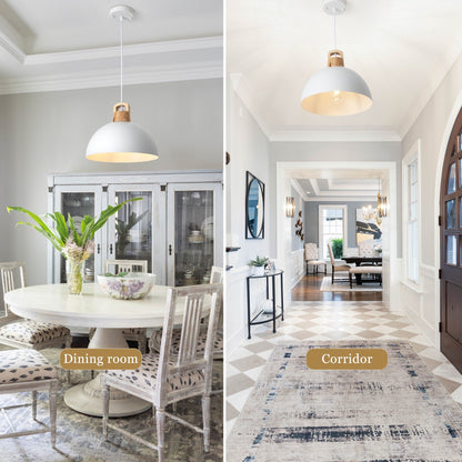 1-Light Modern Pendant Light Fixture with Plug-in Switch for Kitchen Island