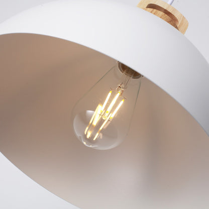 1-Light Modern Pendant Light Fixture with Plug-in Switch for Kitchen Island