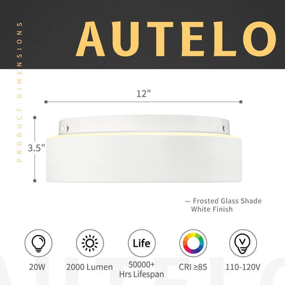 2-Light Flush Mount Ceiling Light with Frosted Glass Shade - 12.0 In. L X 12.0 In. W X 3.5 In. H