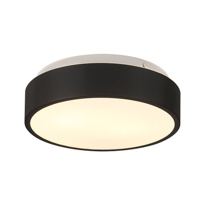 2-Light Flush Mount Ceiling Light with Frosted Glass Shade - 12.0 In. L X 12.0 In. W X 3.5 In. H