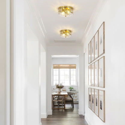 2-Light Flush Mount Glass Ceiling Light with Metal Frame