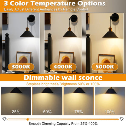 2Pack Battery Operated Wall Sconce with Remote
