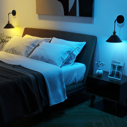 2Pack Battery Operated Wall Sconce with Remote