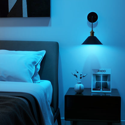 2Pack Battery Operated Wall Sconce with Remote