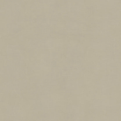 Chris Divano letto in microfibra smacchiabile T11 panna