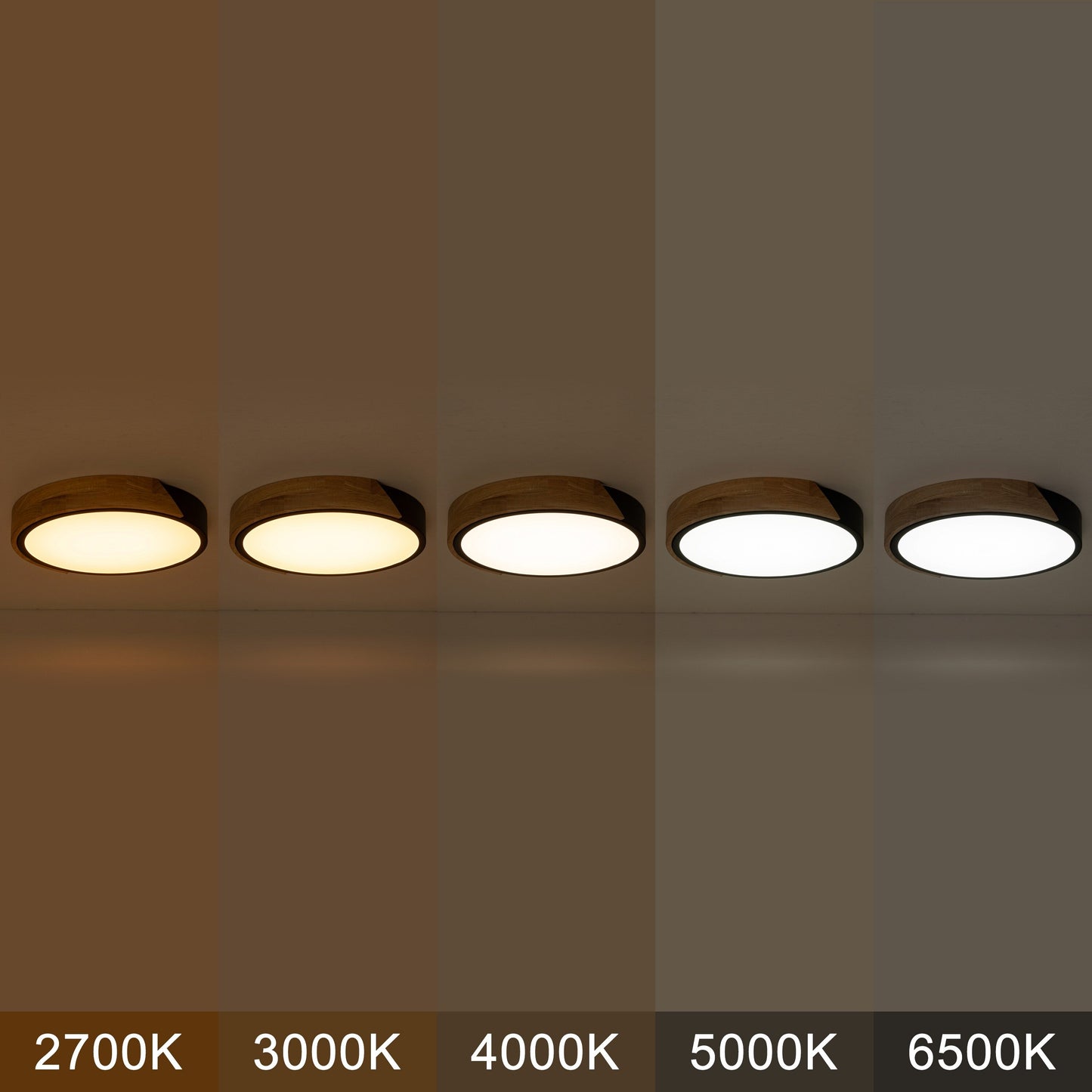 C Cattleya 5CCT Integrated LED Flush Mount Ceiling Light