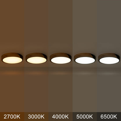 C Cattleya 5CCT Integrated LED Flush Mount Ceiling Light