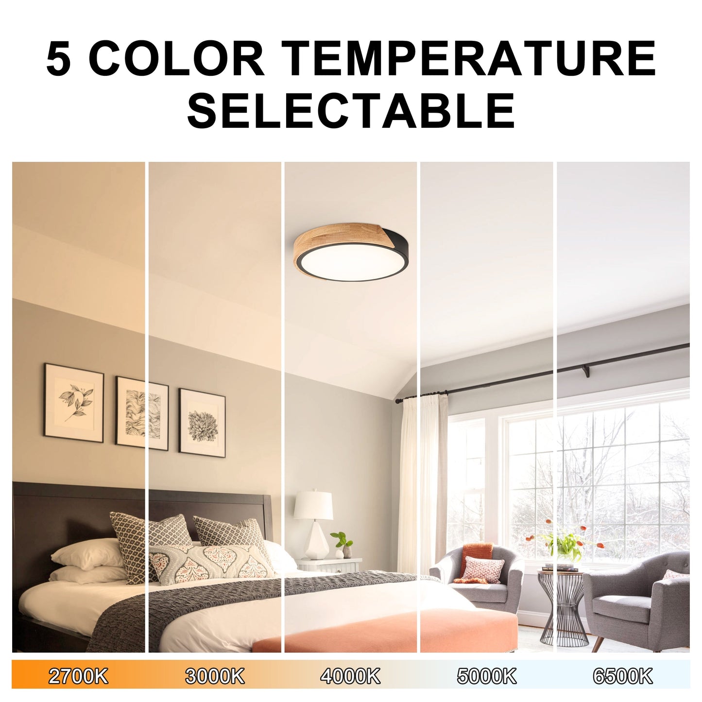 C Cattleya 5CCT Integrated LED Flush Mount Ceiling Light