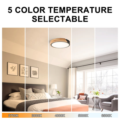 C Cattleya 5CCT Integrated LED Flush Mount Ceiling Light