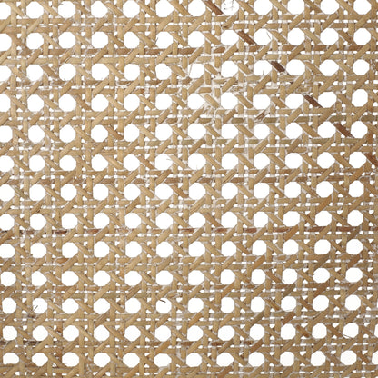 Christopher Knight Home Cataldo Fabric Upholstered Wood and Cane 25.5-Inch Counter Stools (Set of 2)