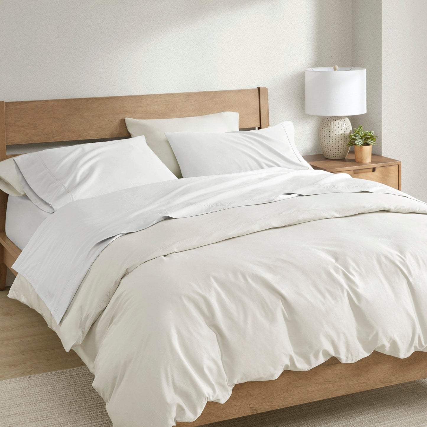 Clean Spaces 300TC BCI Cotton Sheet Set