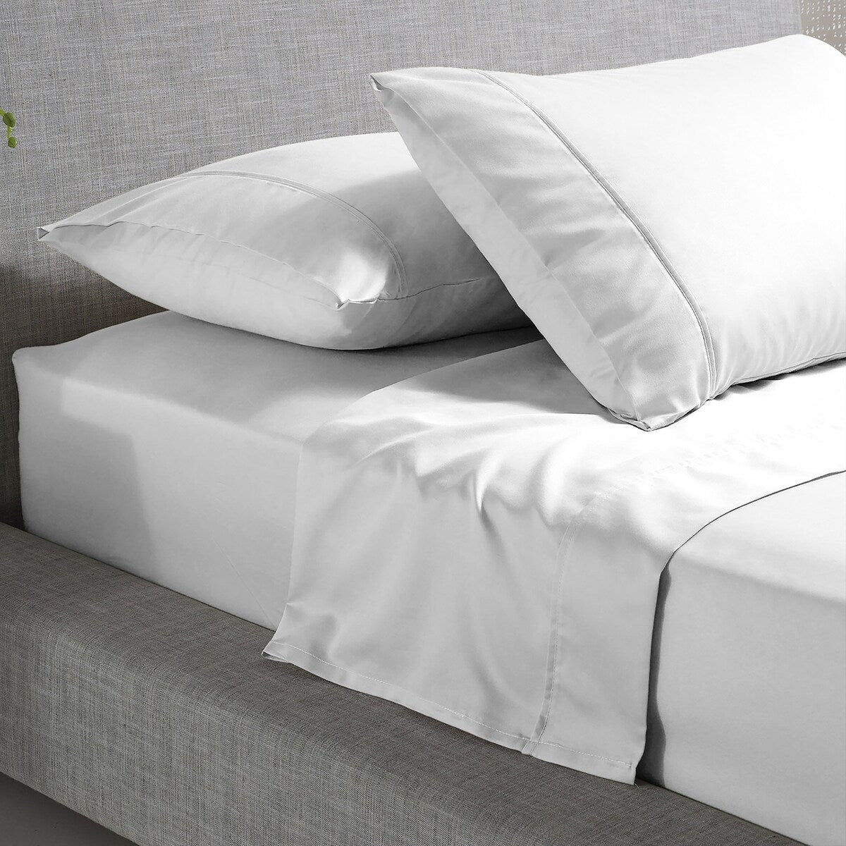 Color Sense 800TC Luxury Cotton-Blend Wrinkle-Resistant Sheet Set