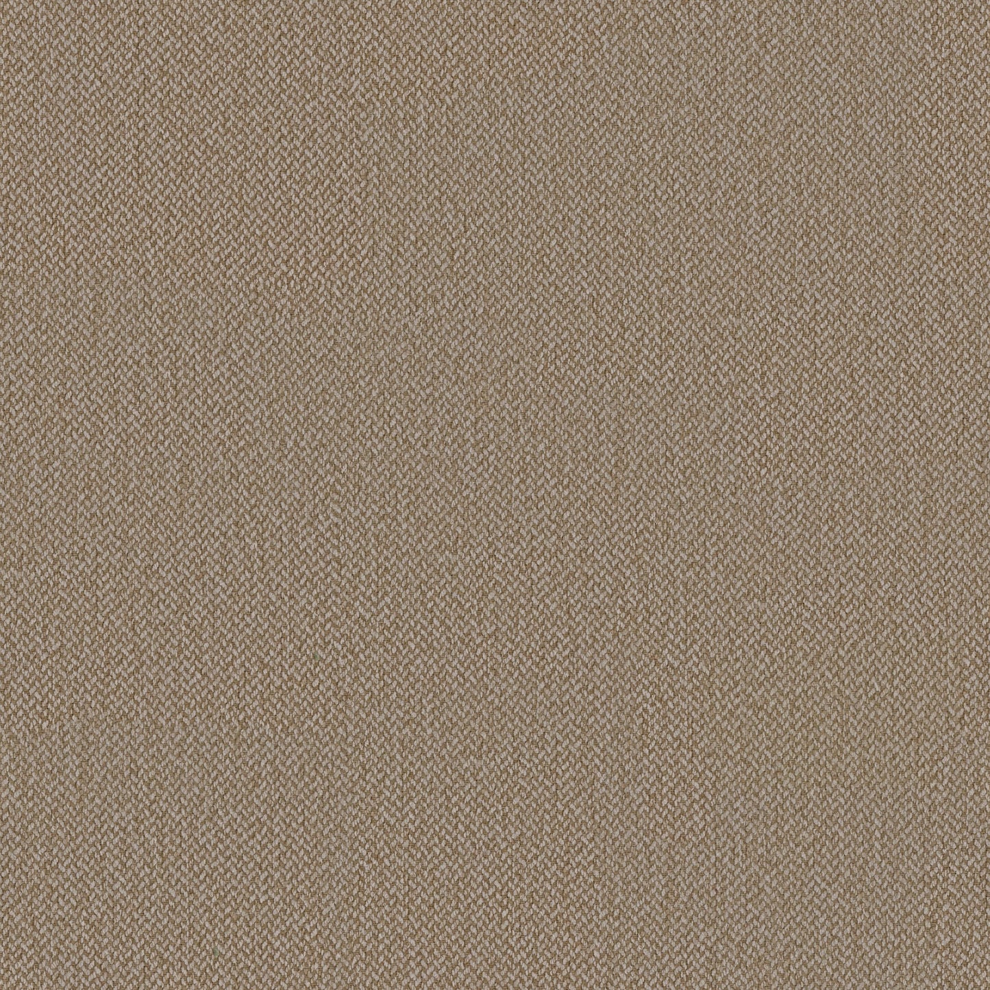 Dorian poltrona moderna in tessuto smacchiabile T05 beige
