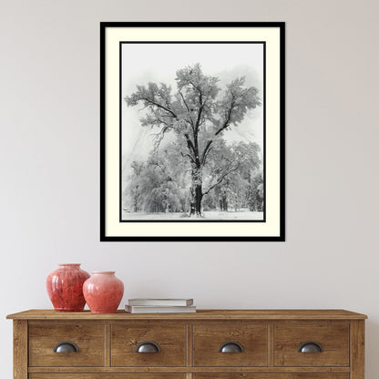 Framed Art Print 'Oak Tree, Snowstorm, Yosemite National Park-1948' by Ansel Adams 27 x 32-inch
