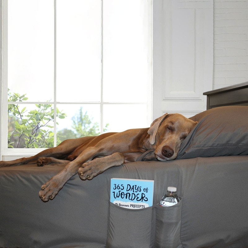 Home Essential Soft Microfiber Smart Sheet Storage Pocket Bedding Sheet Set