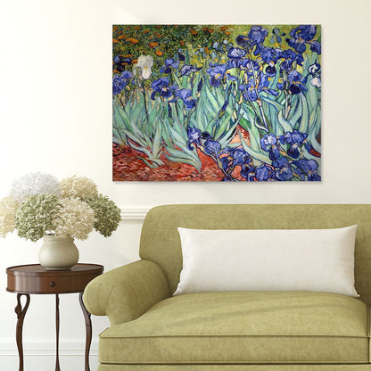 Vincent van Gogh 'Iries' Canvas Wall Art