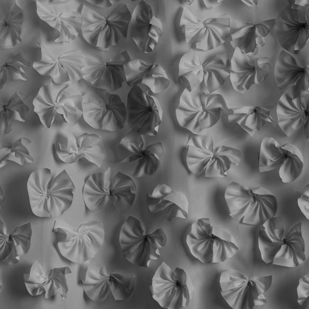 The Gray Barn Dogwood Ivory Shower Curtain