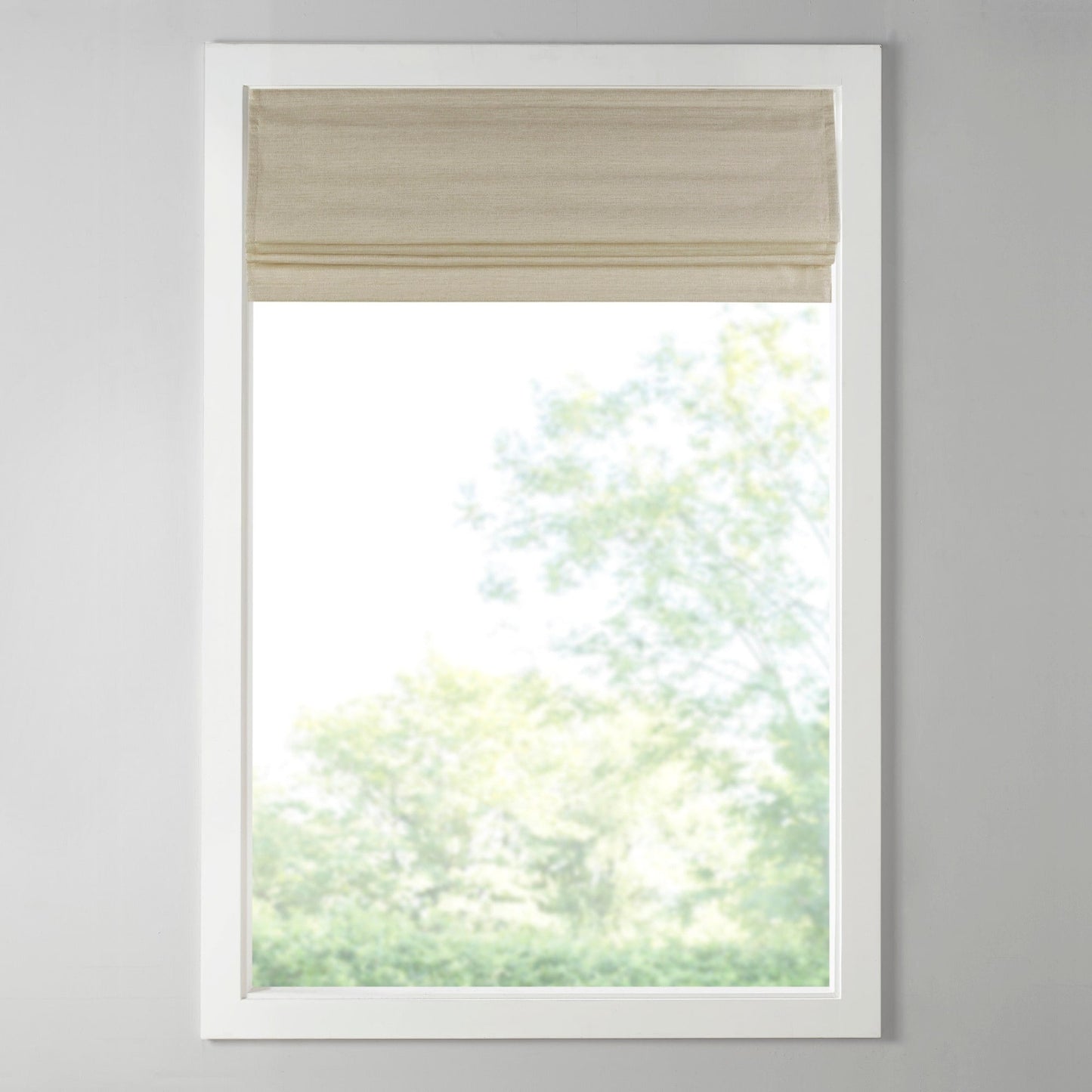 Madison Park Leighton Printed Faux Silk Room Darkening Cordless Roman Shade