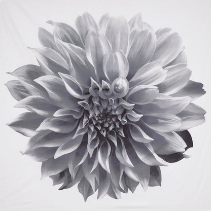 Madison Park Quinn Printed Floral Cotton Shower Curtain