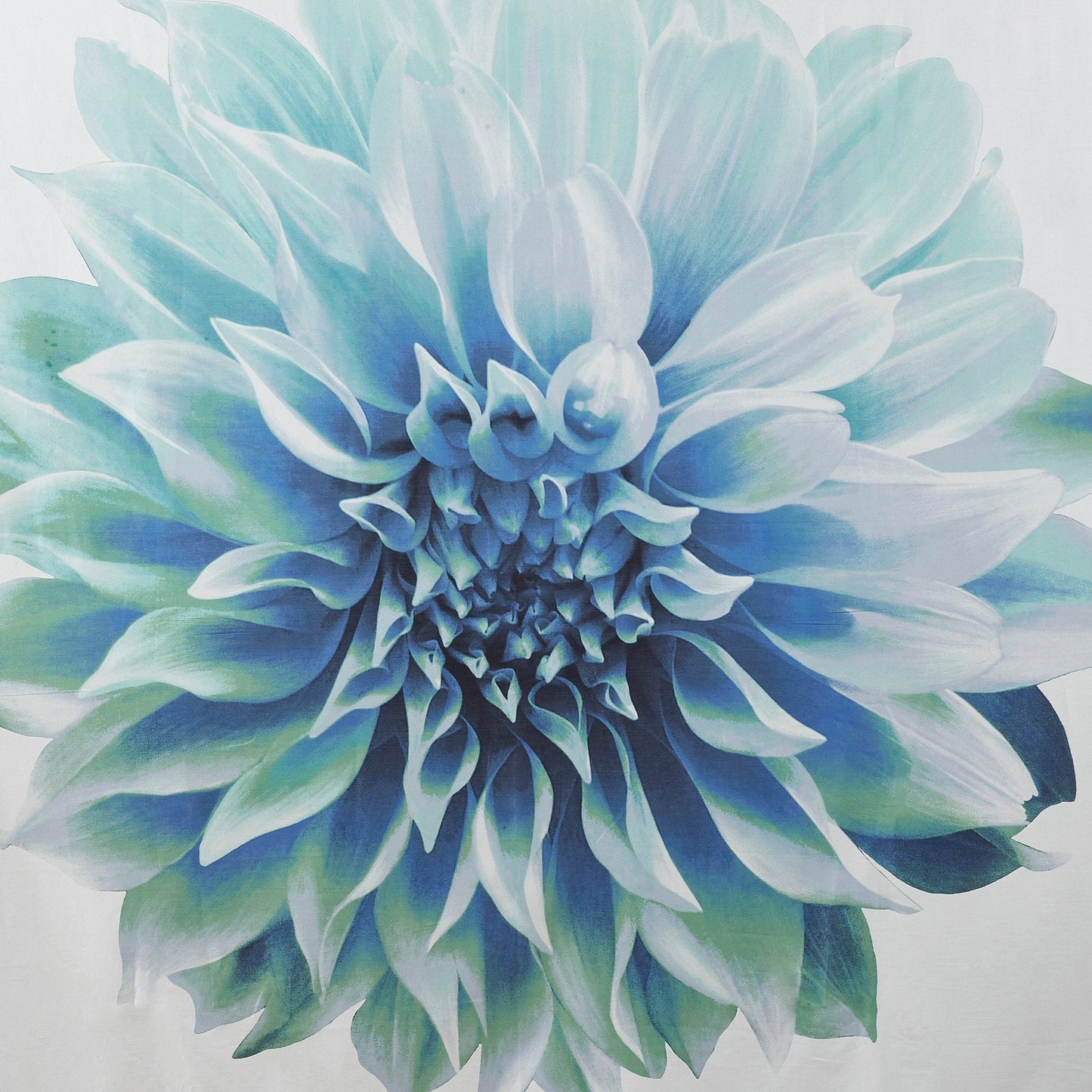 Madison Park Quinn Printed Floral Cotton Shower Curtain