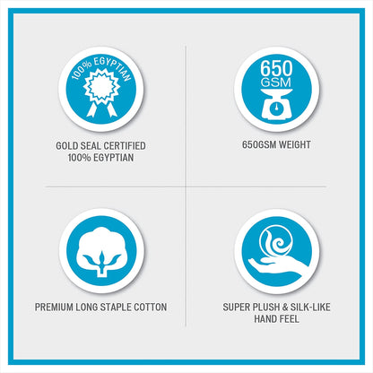 Madison Park Signature Luce 100-percent Egyptian Cotton 6 Piece Towel Set