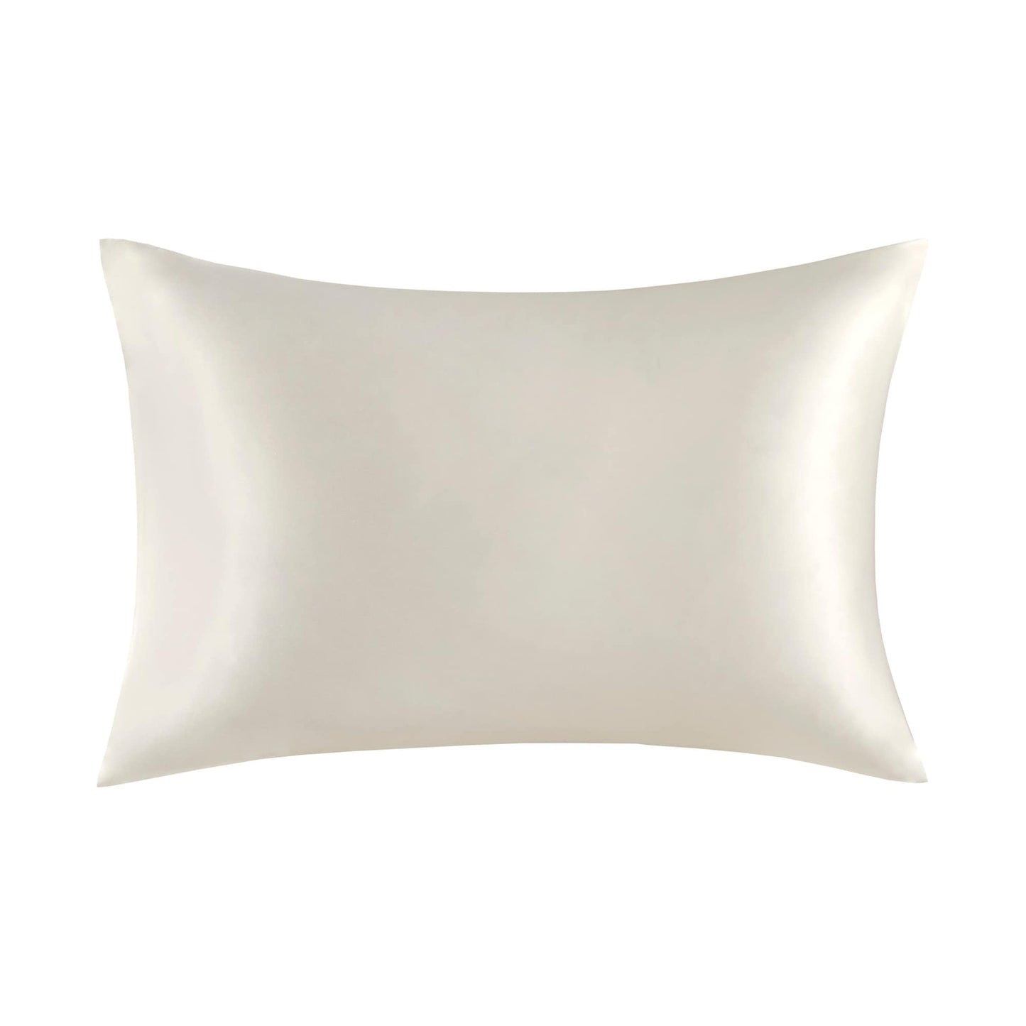 Madison Park Silk 100% Mulberry Single Pillowcase