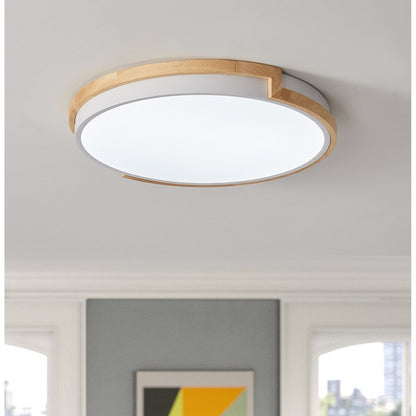 Modern Concise 1-Light Circle LED Flush Mount Ceiling Lighting Fixture