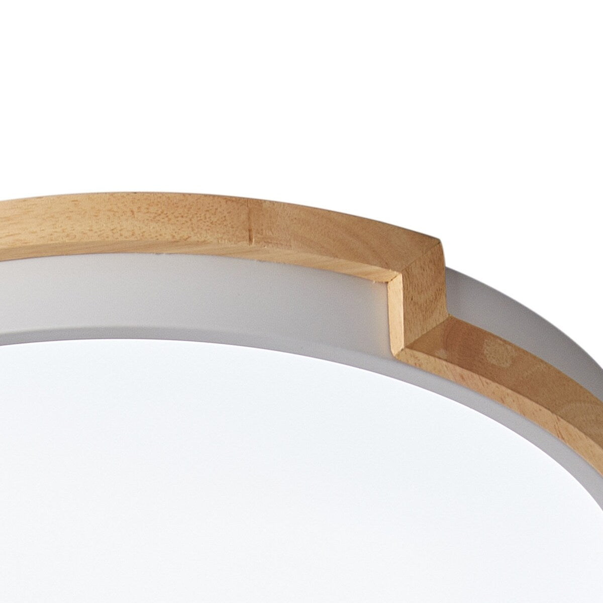 Modern Concise 1-Light Circle LED Flush Mount Ceiling Lighting Fixture