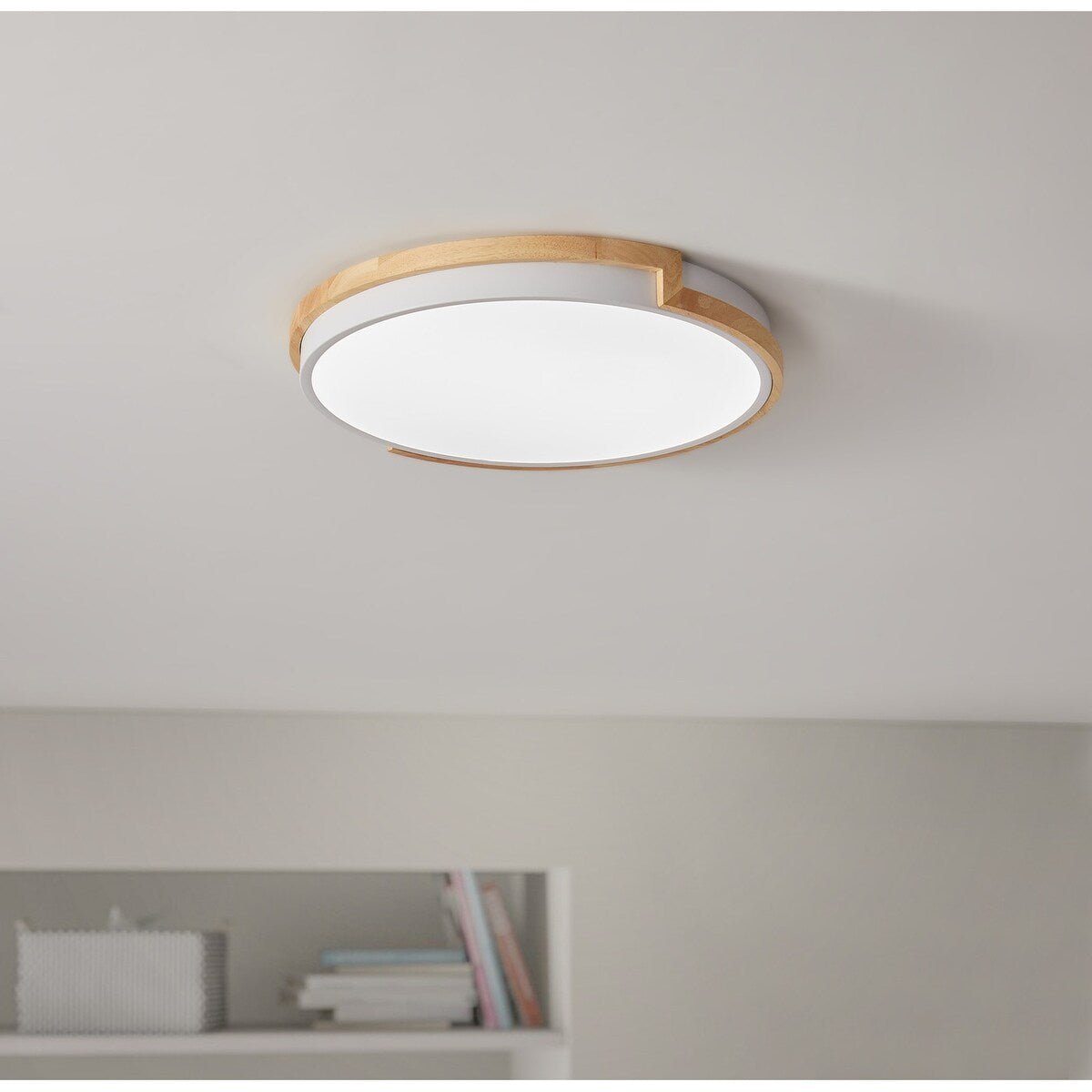 Modern Concise 1-Light Circle LED Flush Mount Ceiling Lighting Fixture