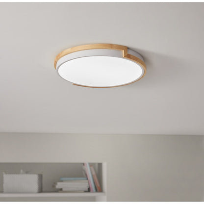 Modern Concise 1-Light Circle LED Flush Mount Ceiling Lighting Fixture