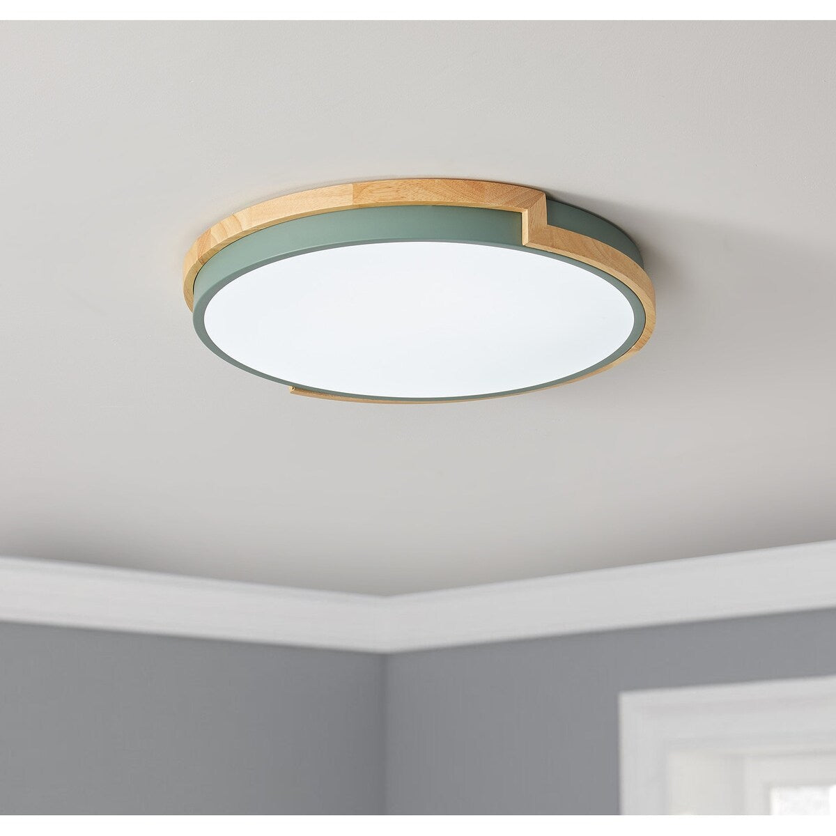 Modern Concise 1-Light Circle LED Flush Mount Ceiling Lighting Fixture