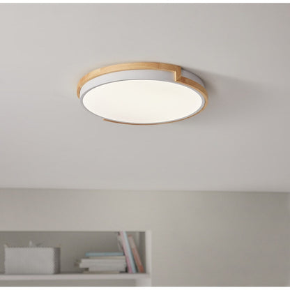 Modern Concise 1-Light Circle LED Flush Mount Ceiling Lighting Fixture
