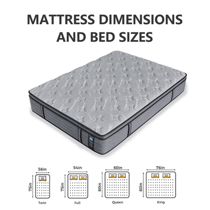Modland 14-inch Hybrid Medium Euro Top Mattress, Pocket Spring Mattress in a Box