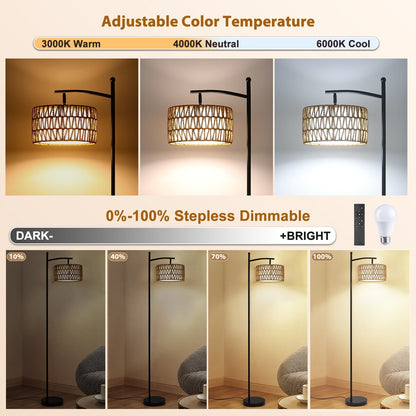 Netin 66 Dimmable LED Arched Floor Lamp with Remote - N/A