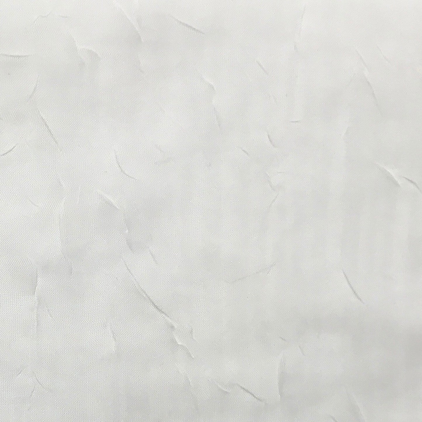 No. 918 Erica Crushed Voile Sheer Rod Pocket 1-Piece Curtain Panel, Single Panel