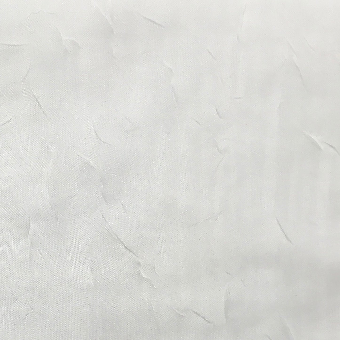 No. 918 Erica Crushed Voile Sheer Rod Pocket 1-Piece Curtain Panel, Single Panel