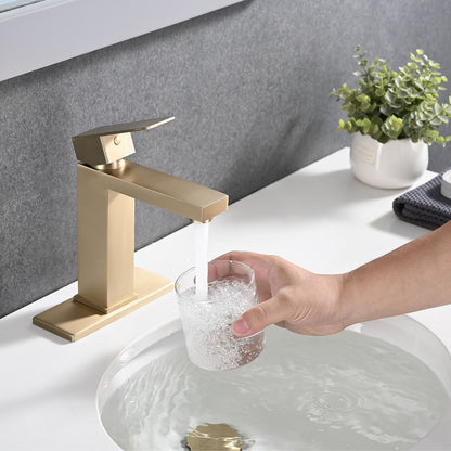 PROOX Single Bathroom Sink Faucet with Drain Assembly