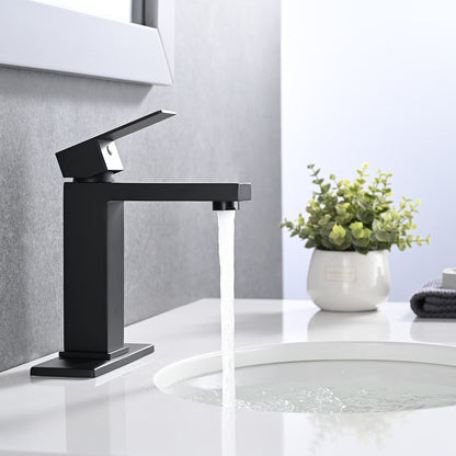 PROOX Single Bathroom Sink Faucet with Drain Assembly