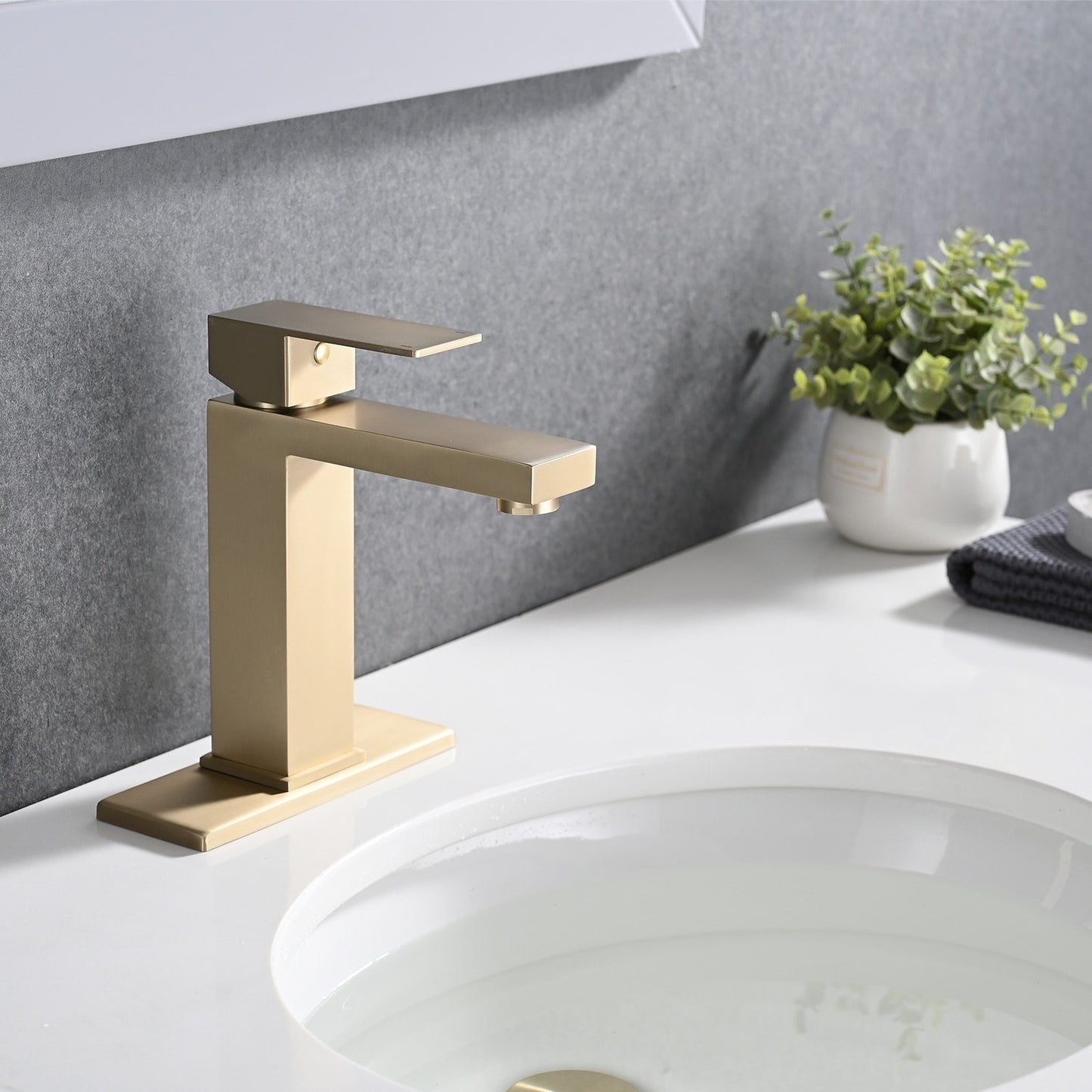 PROOX Single Bathroom Sink Faucet with Drain Assembly