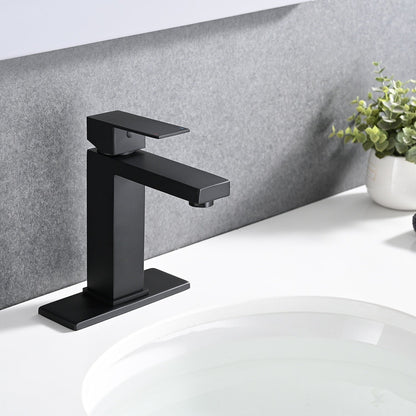 PROOX Single Bathroom Sink Faucet with Drain Assembly