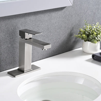 PROOX Single Bathroom Sink Faucet with Drain Assembly