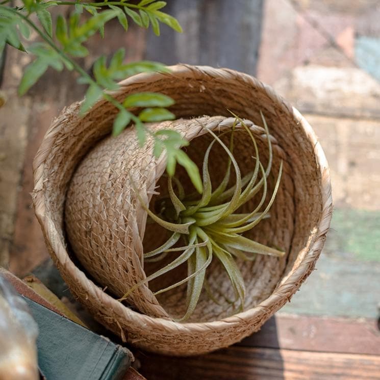 RusticReach Natural Straw Desktop Flower Basket