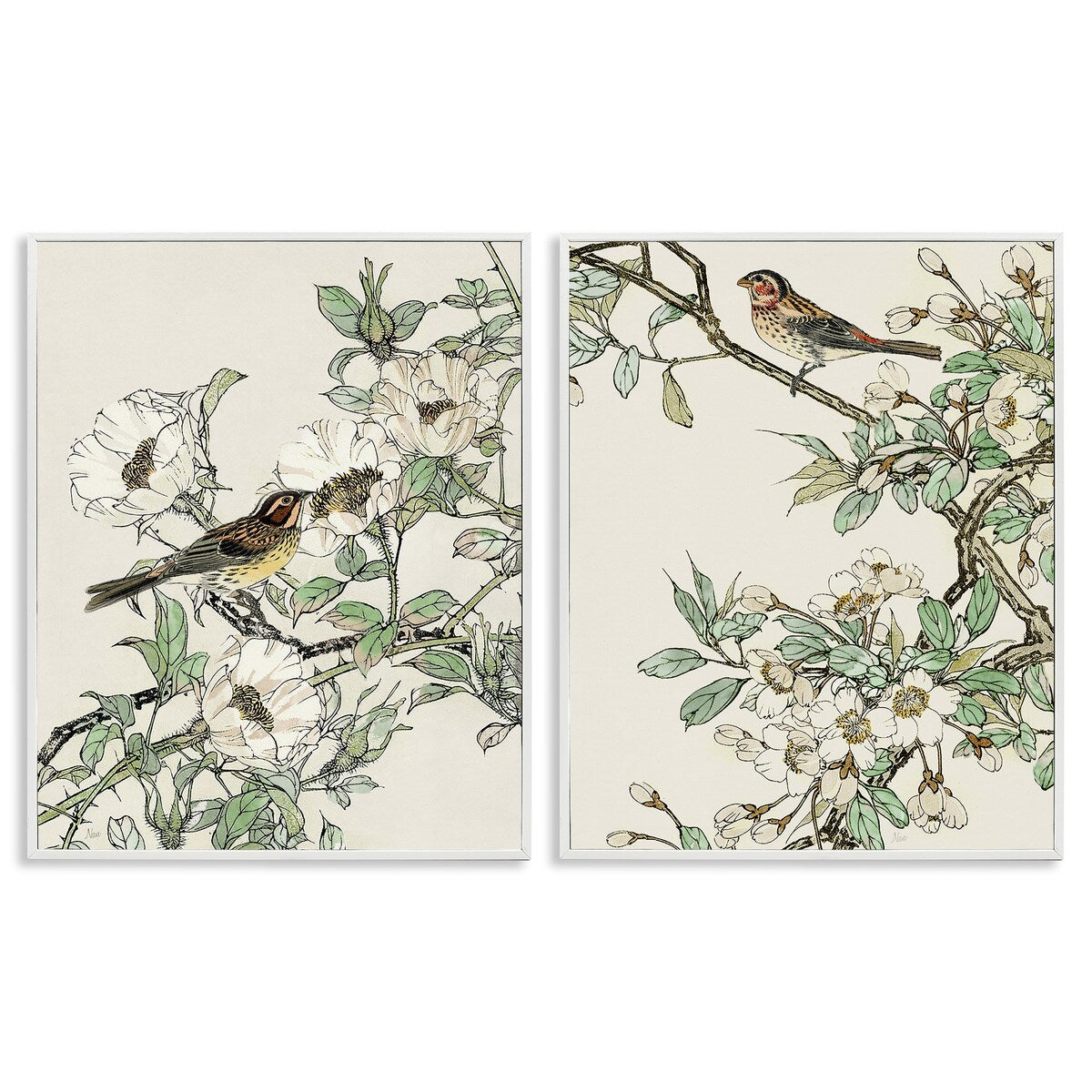 Stupell Classic Sparrow on Blossoms 2 Piece Framed Giclee Art Set Design by Nan