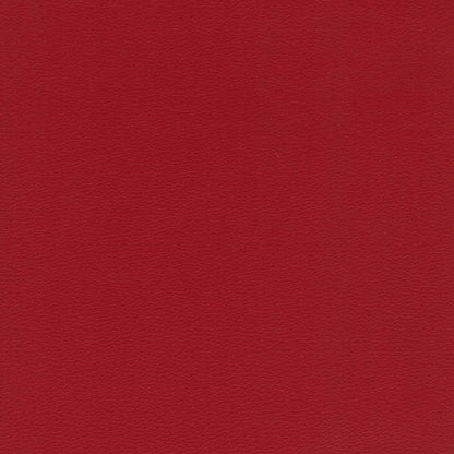 Cuscino Florida disponibile in diversi colori realizzato in ecopelle resistente impermeabile T04 rosso